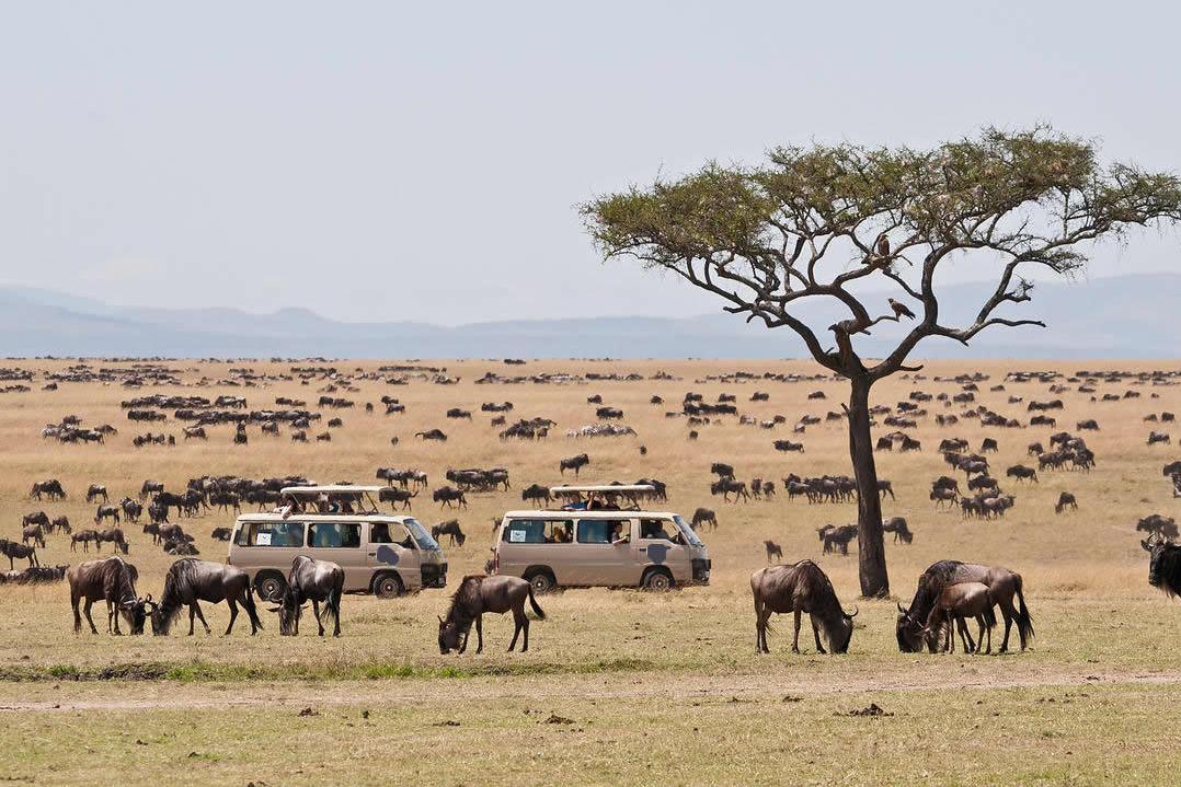 Lake Naivasha – Masai Mara